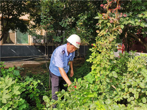 河南橋梁鋼模板廠家——美麗的花園，來自辛勤的勞動